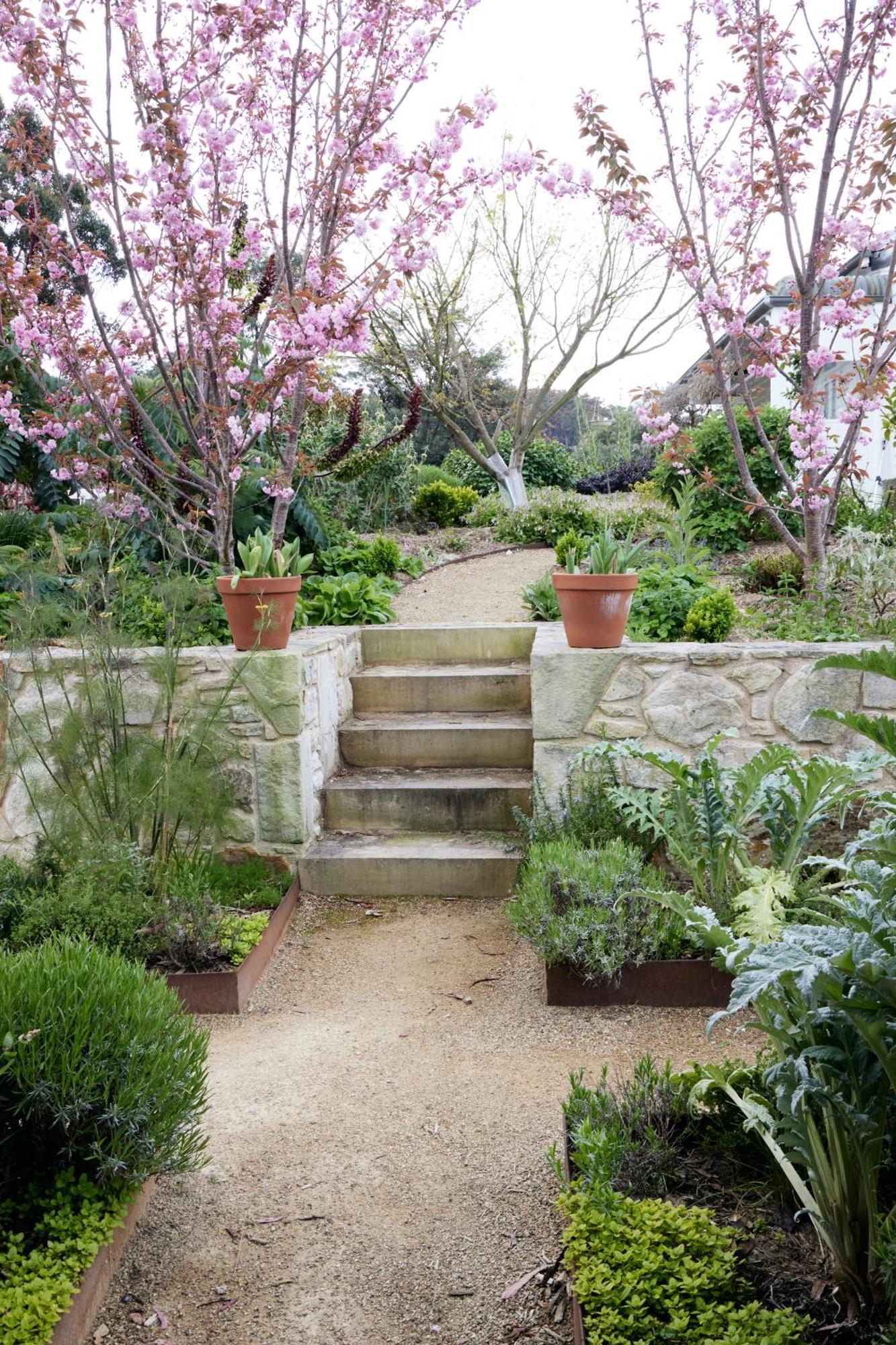 Little Oak - Place To Relax And Create Memories * Cygnet